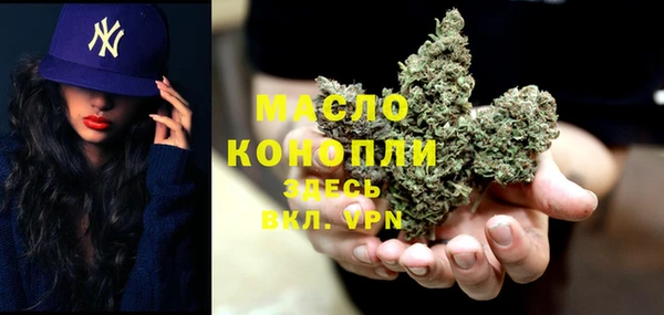 дживик Липки