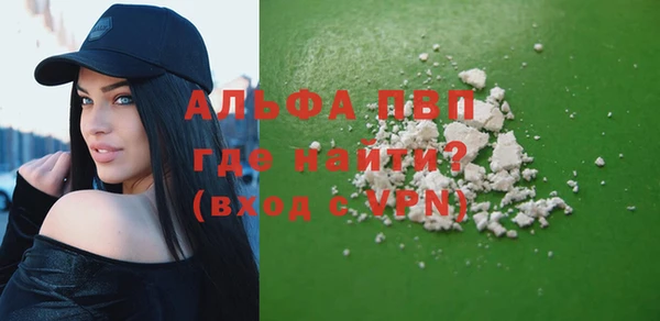дживик Липки