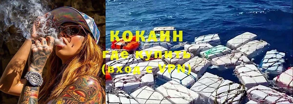 дживик Липки