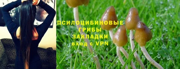 дживик Липки